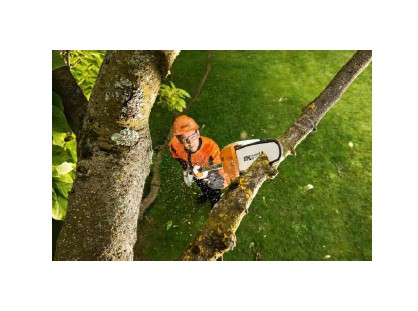 Podadora de altura Stihl HTA 86 a batería - Imagen 5