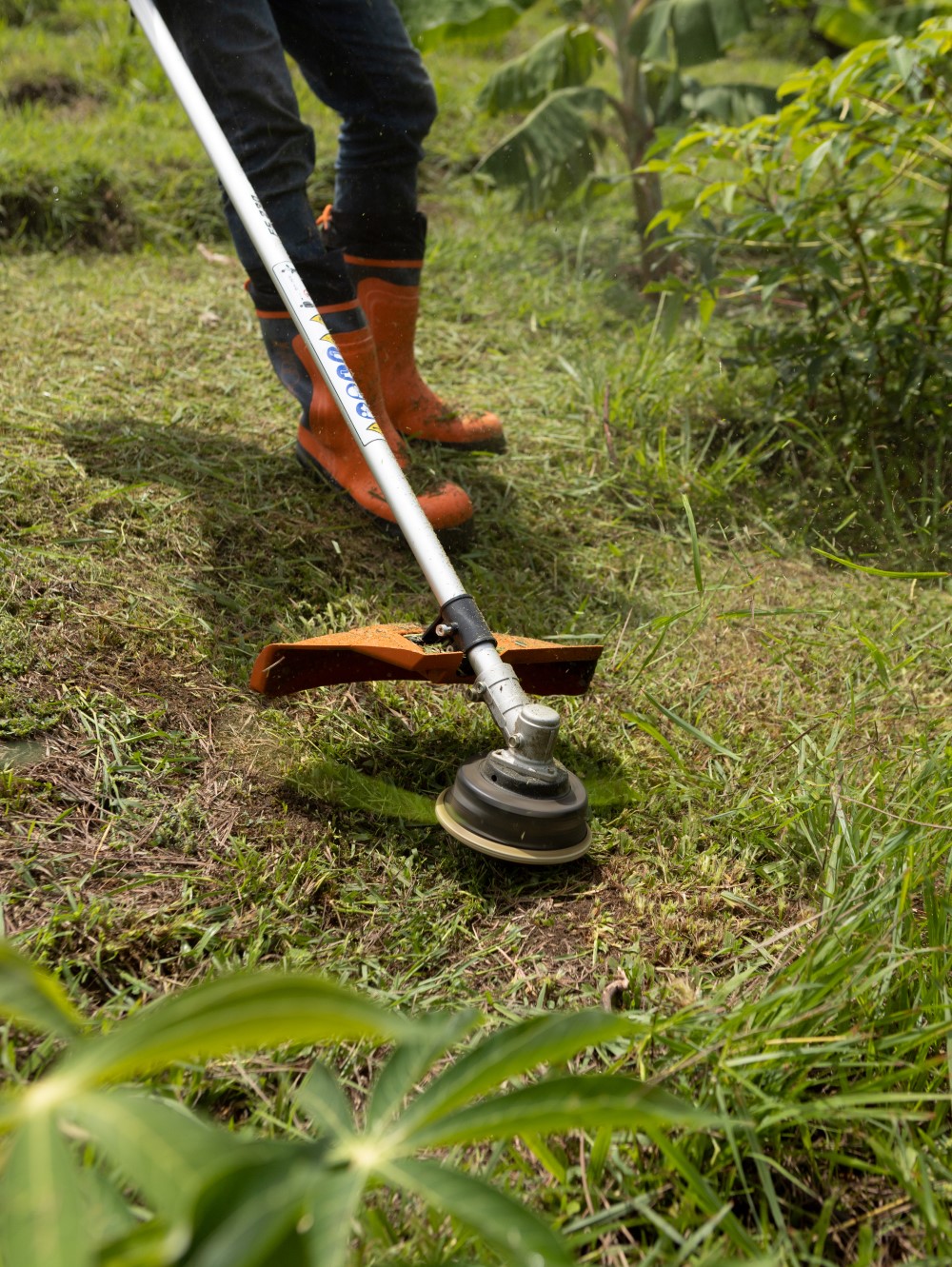 Motoguadaña Stihl FS 230 - Imagen 2