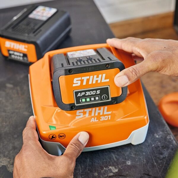 Cargador de baterías Al 301